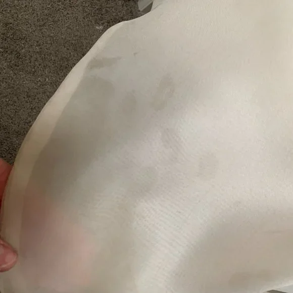 Monique Lhuillier Wedding Dress - Picture 9 of 9